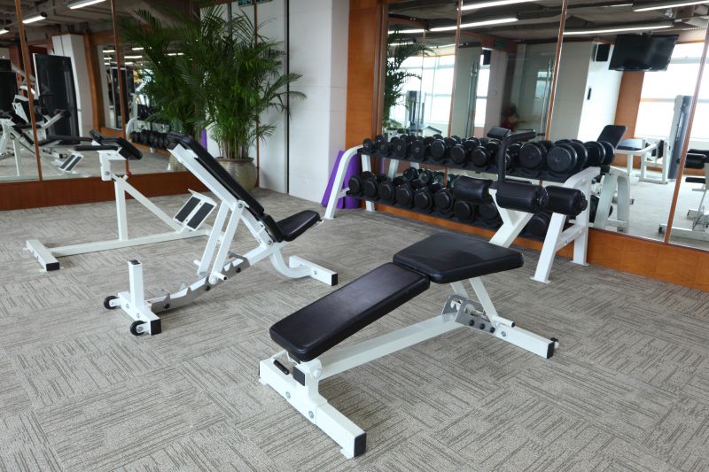 Workout Mirrors Installation in Arvada, CO